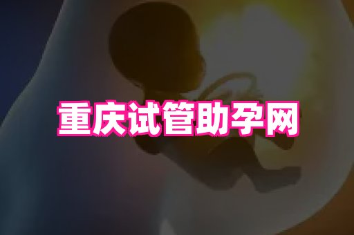潍坊助孕网 3