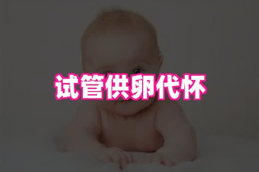 潍坊助孕网 4